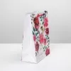Пакет ламинированный "Present for you!"